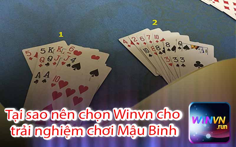 Tại sao nên chọn Winvn cho trải nghiệm chơi Mậu Binh